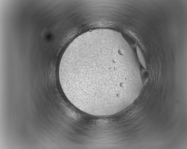 X0000064750394200603031739