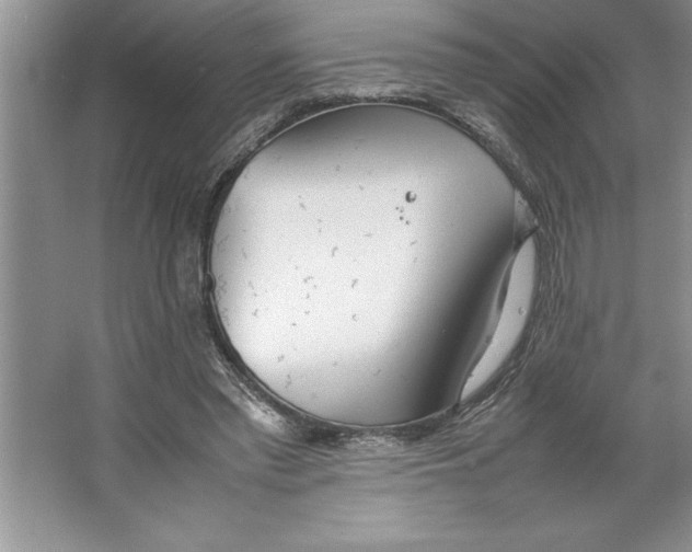 X0000064750397200603031739