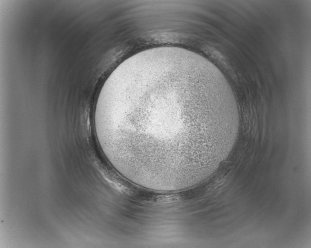 X0000064750398200603031739