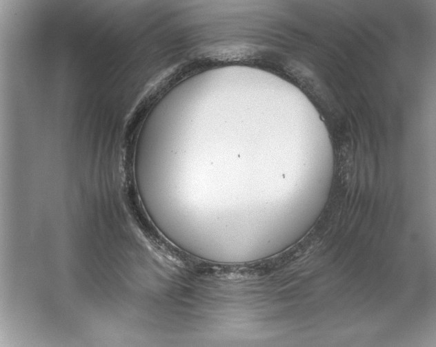 X0000064750400200603031739