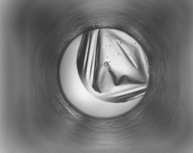 X0000064750401200603031739