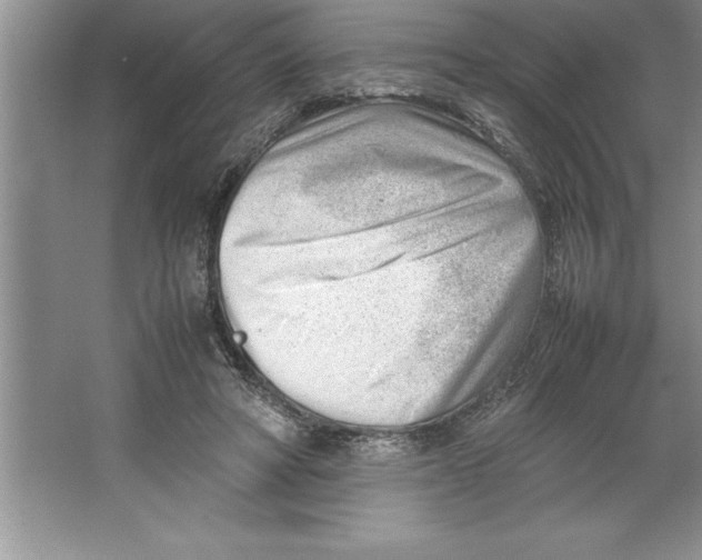 X0000064750402200603031739