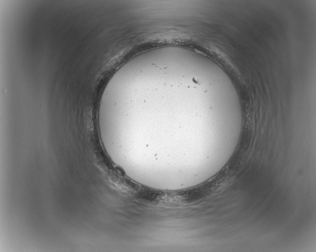 X0000064750403200603031739