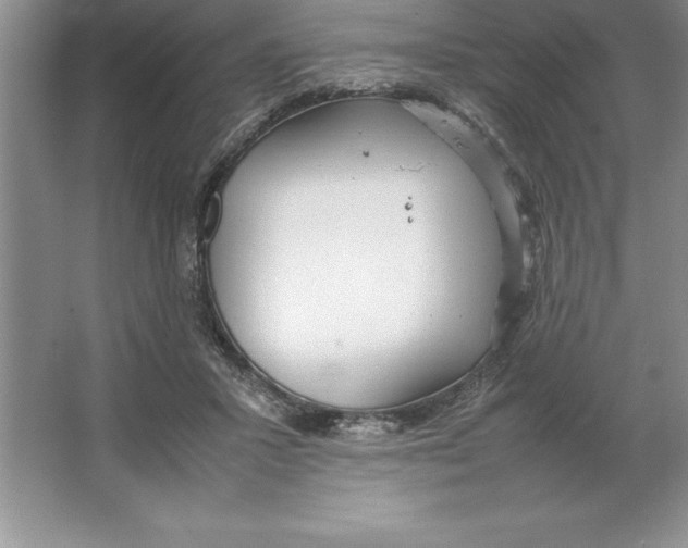 X0000064750407200603031739