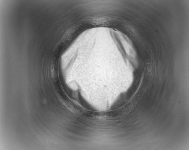 X0000064750408200603031739