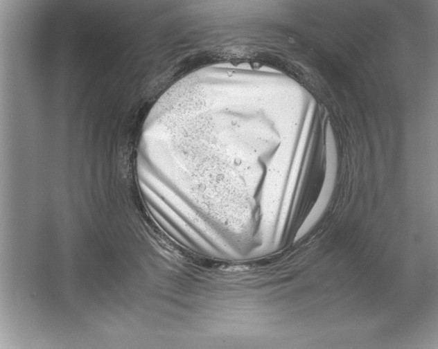 X0000064750409200603031739