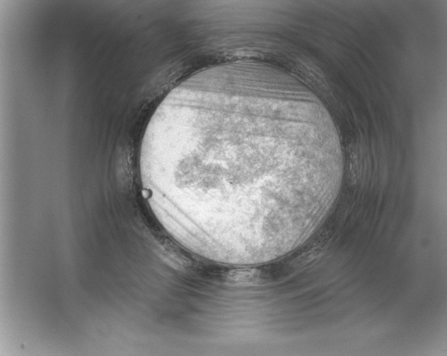 X0000064750410200603031739