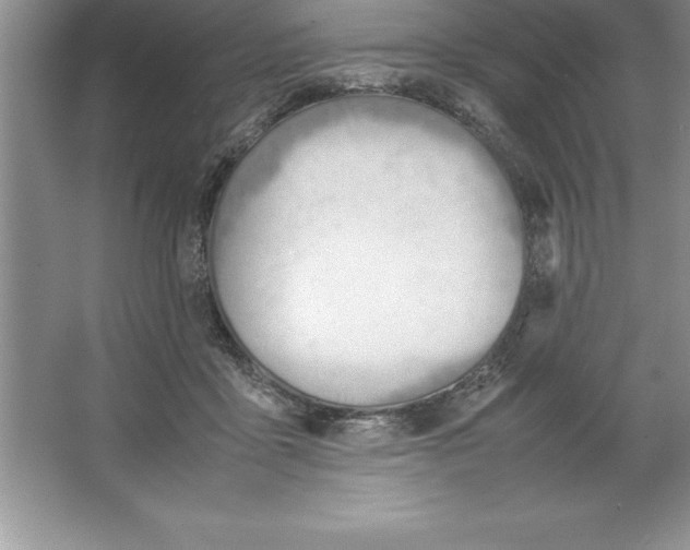 X0000064750411200603031738