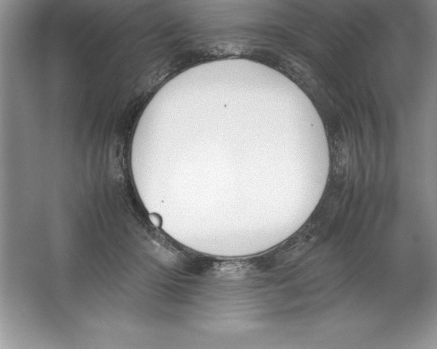 X0000064750414200603031738