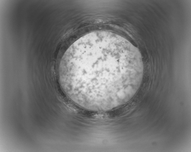 X0000064750415200603031738