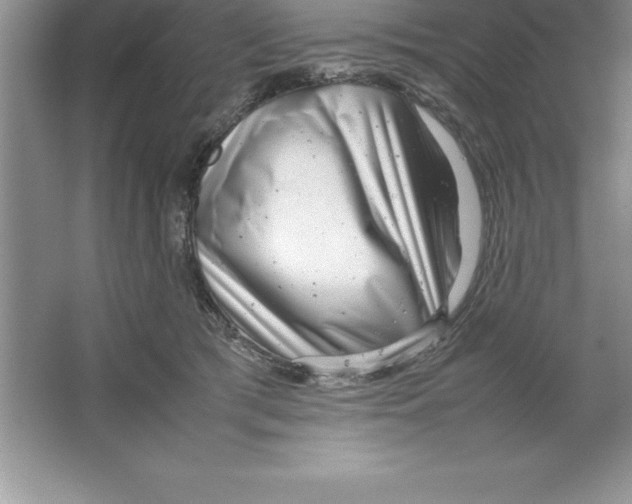 X0000064750417200603031738