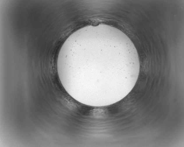 X0000064750418200603031738