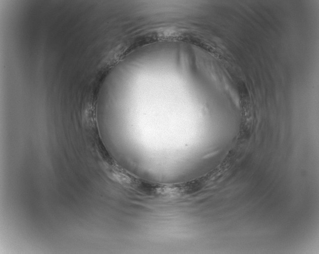 X0000064750419200603031738