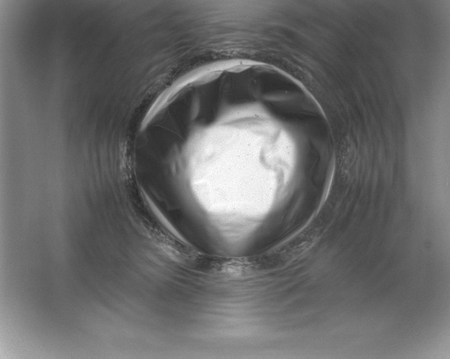 X0000064750420200603031738