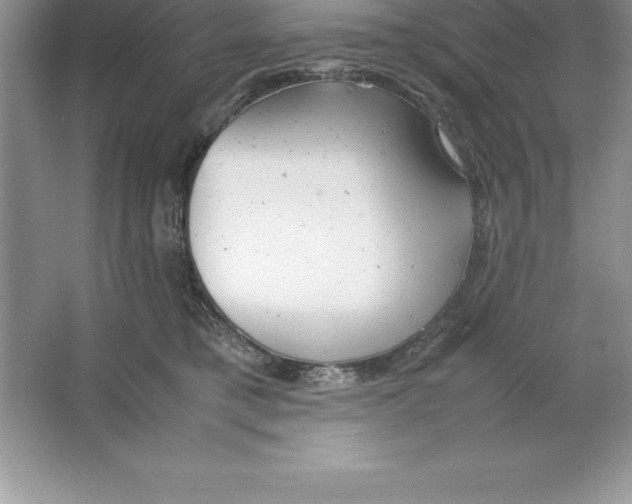 X0000064750421200603031738