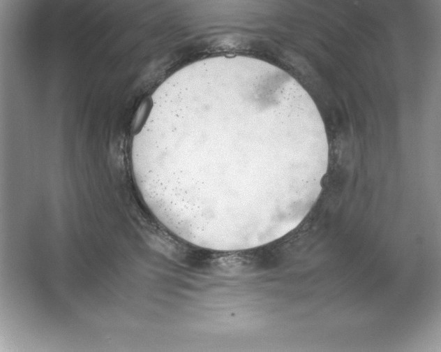 X0000064750423200603031738