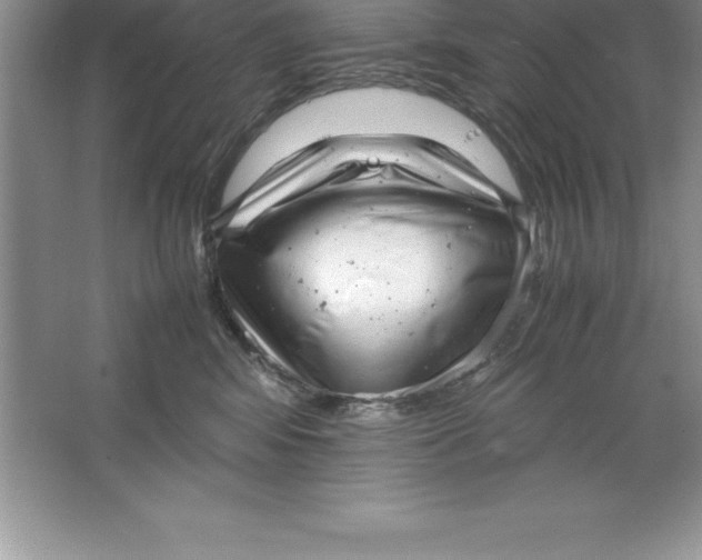 X0000064750424200603031738