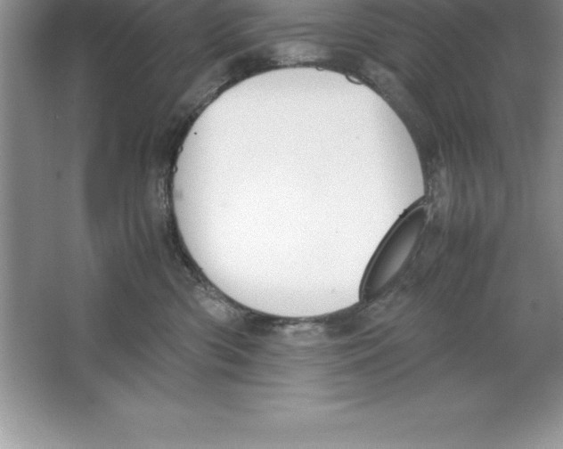 X0000064750426200603031738