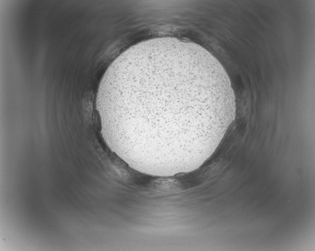 X0000064750427200603031738