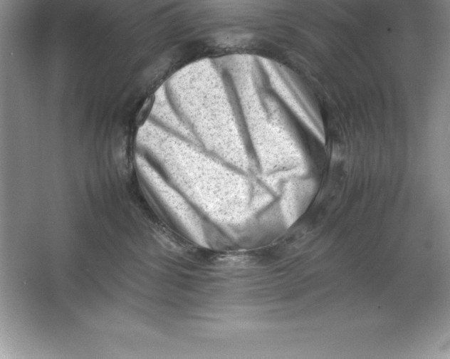 X0000064750428200603031738