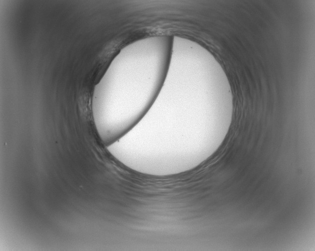 X0000064750429200603031738