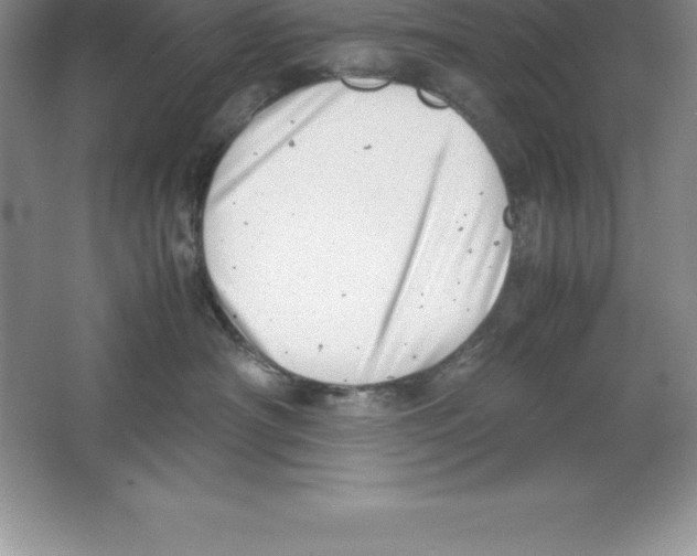 X0000064750430200603031738