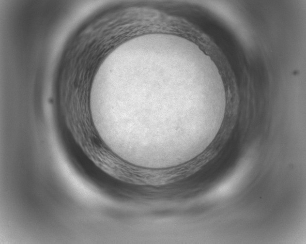 X0000064750431200603031738