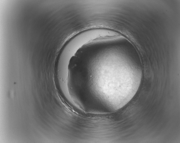 X0000064750434200603031737