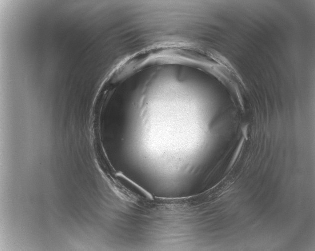 X0000064750436200603031737