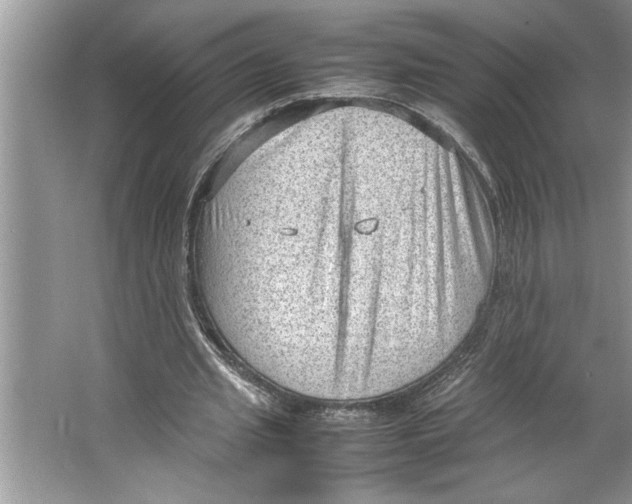 X0000064750437200603031737