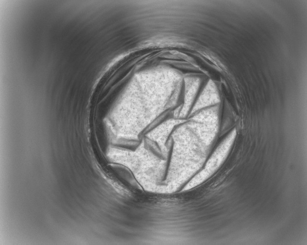 X0000064750438200603031737