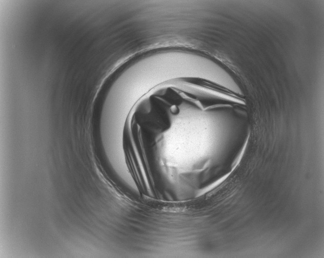 X0000064750440200603031737