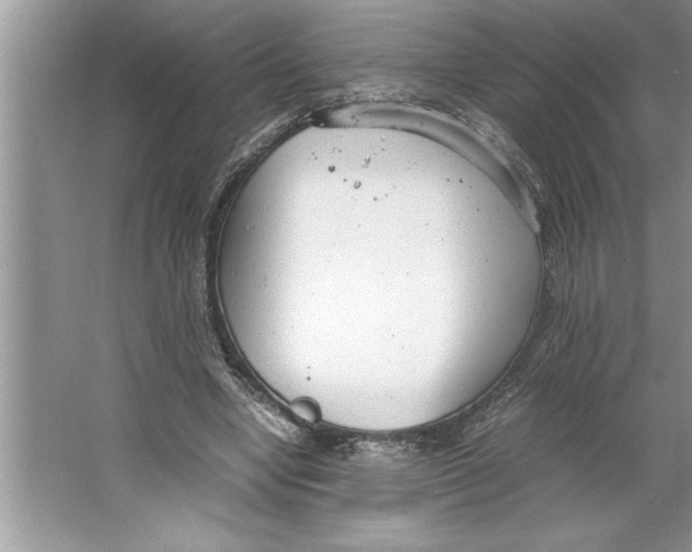 X0000064750442200603031737