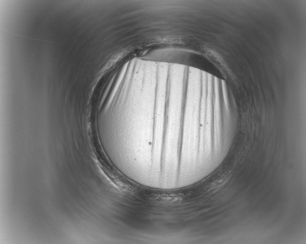 X0000064750443200603031737