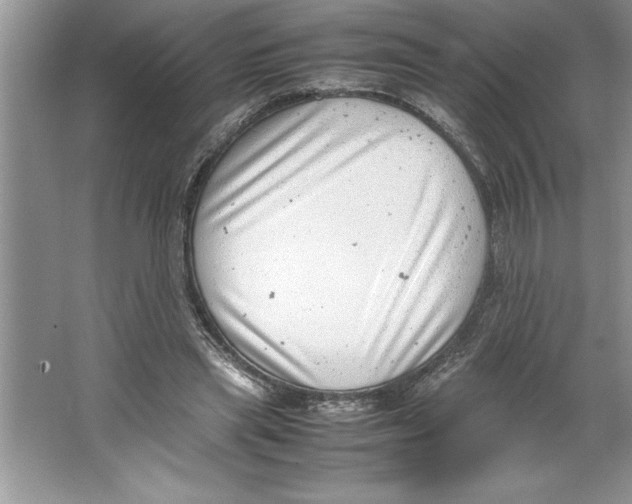 X0000064750445200603031738