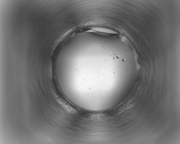 X0000064750446200603031738