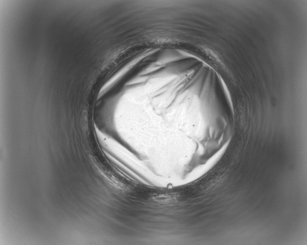 X0000064750447200603031738