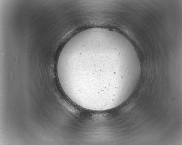 X0000064750450200603031738