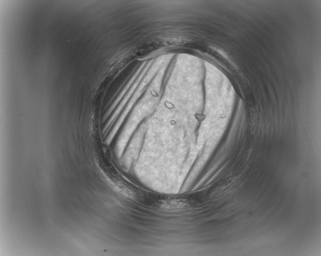 X0000064750451200603031738