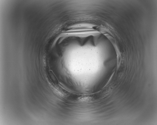 X0000064750452200603031738