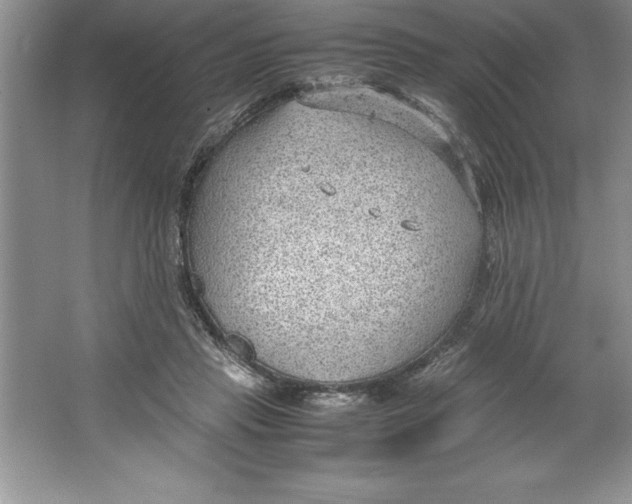 X0000064750453200603031738