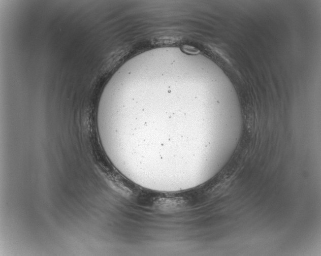 X0000064750455200603031738