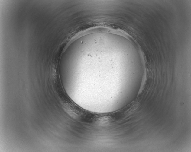 X0000064750456200603031738