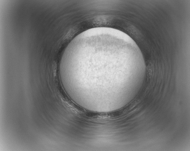 X0000064750458200603031738