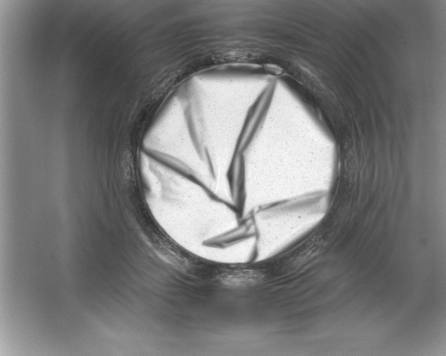 X0000064750459200603031738