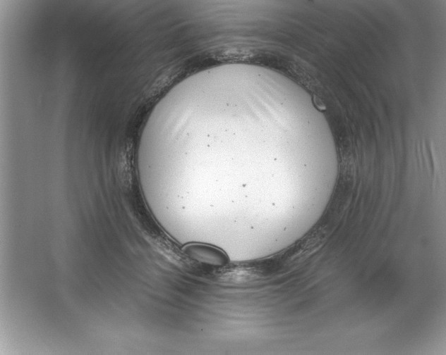 X0000064750460200603031738