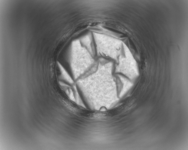 X0000064750462200603031738