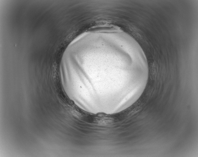 X0000064750463200603031738