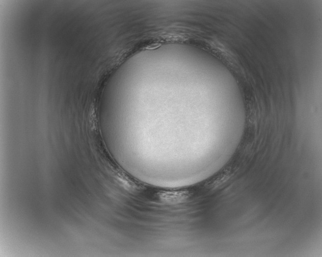 X0000064750465200603031738