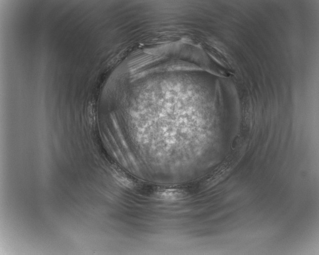 X0000064750467200603031738